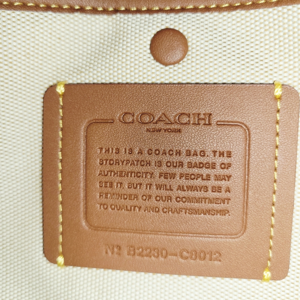 Coach Rogue - Picture 8 of 10